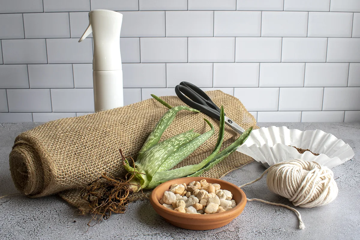 Spray bottle, burlap, scissors, soilless media, pebbles, cotton twine and an aloe plant.